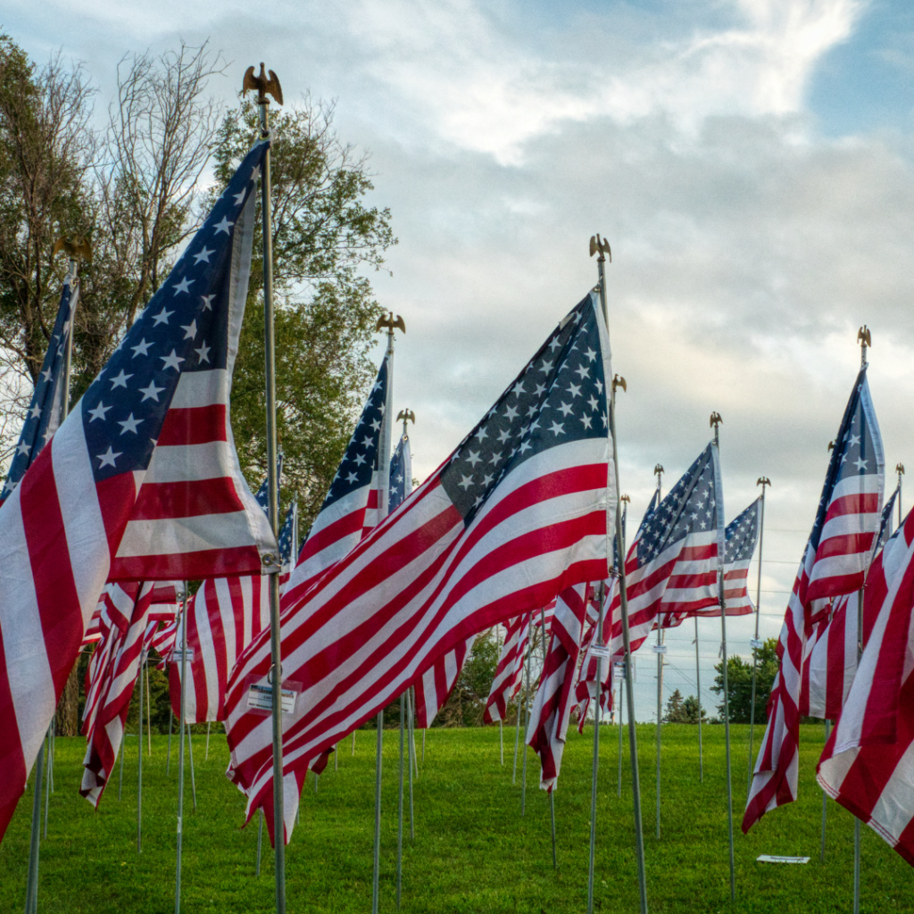 field of American flags