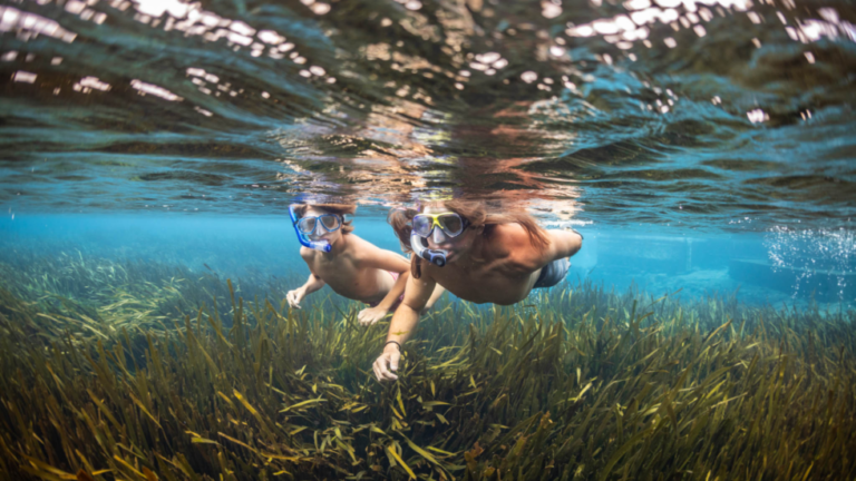 Photo of two boys snorkeling under the clear blue water at Jackson Blue Springs. There is green algae at the bottom. The water looks clear and clean.