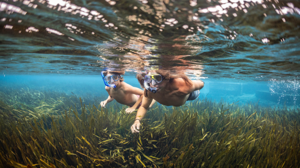 Photo of two boys snorkeling under the clear blue water at Jackson Blue Springs. There is green algae at the bottom. The water looks clear and clean.