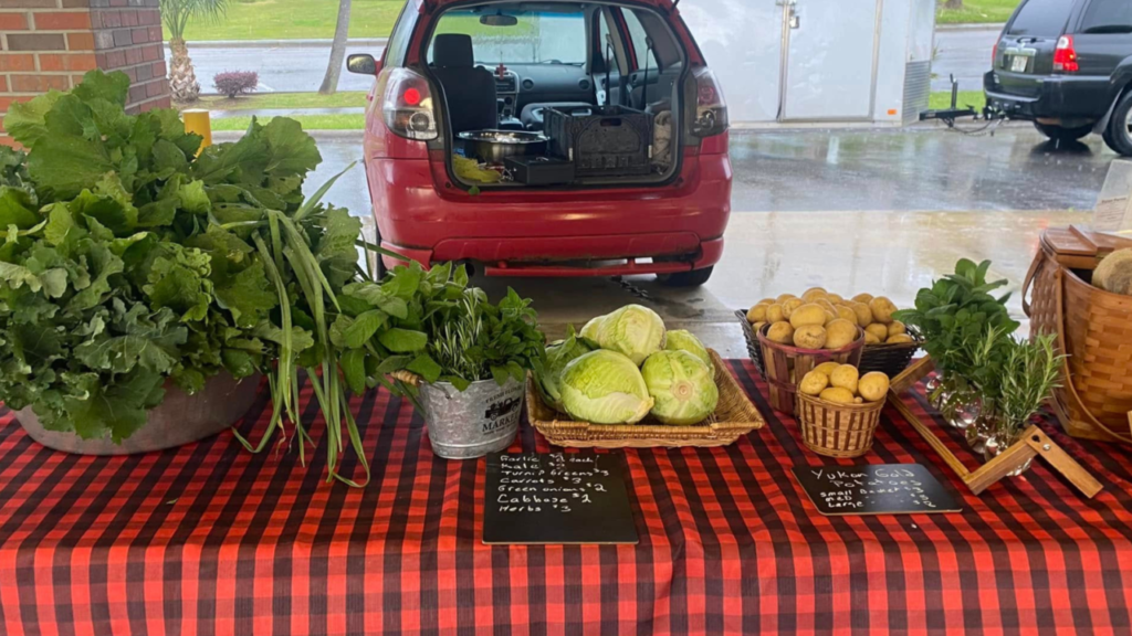 Photo of a table with vegetables on it at the Marianna City Farmer's Market. There is a red and black checkered table cloth under the produce. There is a a red car in the background with the trunk open.